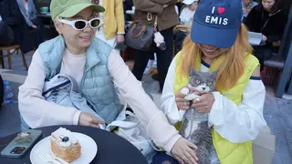 Chinese stores make room for pets as ownership booms