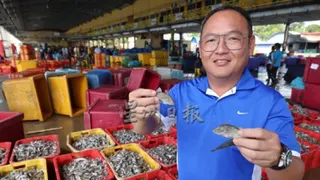 Affordable seafood may no longer available, at least 20% of vessels idle due to high diesel cost