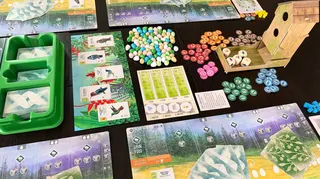Wingspan Americas Player Set Up 2