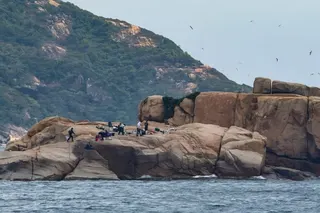 Green Hope Hong Kong says visitors landed on an island in southern Hong Kong waters known as a breeding ground for a bird species. Photo: Handout
