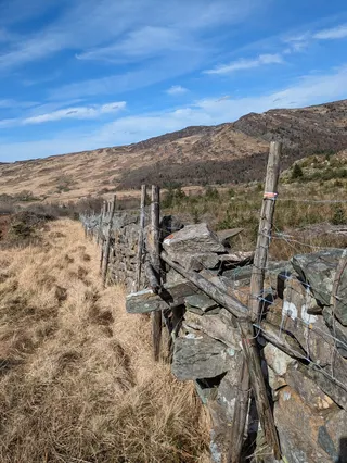 Three stones jutting out of a drystone wall on a sunny valley floor in Wales.