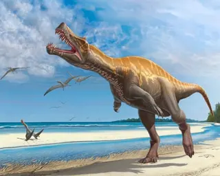 A computer-generated image of Irritator challengeri walking on a beach
