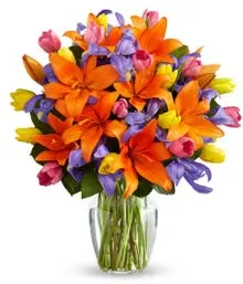 Deluxe Kaleidoscope Blooms Bouquet (No Vase)