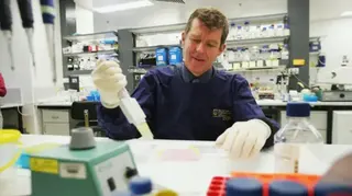 Getty Images Professor Ian Frazer working with lab equipment