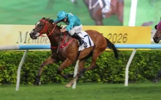 Romantic Thor, ridden by Matthew Poon, wins the Group Three Queen Mother Memorial Cup (2,400m). Photos: Kenneth Chan
