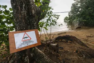 Measures taken by NParks to mitigate risks posed by crocodiles include fencing at Sungei Buloh Wetland Reserve to keep crocodiles off footpaths, as well as advisory signage near sighting locations.