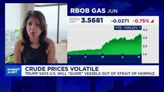 Amrita Sen: Prices in the west have not risen enough