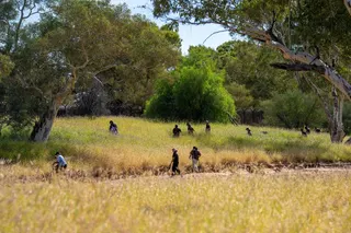 Volunteers, police and emergency services search for the missing 5-year-old in Alice Springs, Australia, on Tuesday. Photo: via Reuters