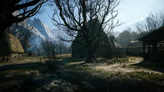 A hut in a forested village area in The Blood of Dawnwalker.