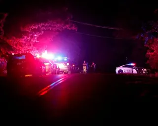 police cars and lights on a dark, woodsy roas