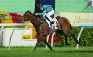 Turquoise Velocity wins narrowly under Keith Yeung. Photos: Kenneth Chan