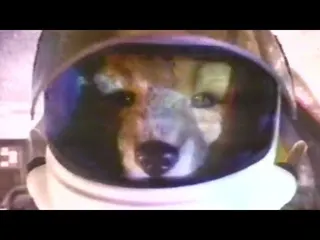 Cover image for YouTube video