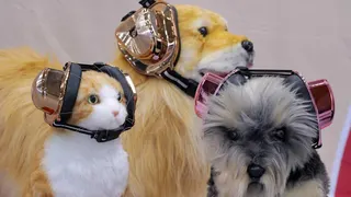 20260419 petseear zero plus