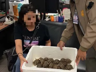 A teenager was arrested on Wednesday at a Bangkok airport for allegedly smuggling dozens of tortoises that were taped under her clothing. Photo: Thailand’s Wildlife Crime Intelligence Centre