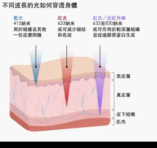 插圖顯示不同波長的光如何穿透皮膚。波長415納米的藍光可到達皮膚表層，即表皮層，圖中標示它可用於暗瘡及其他一些皮膚問題。波長633納米的紅光可穿透至身體較深處，進入稱為真皮層的區域，圖中標示它或可減少細紋和色斑。波長介乎633至830納米的紅光及近紅外線可到達身體的皮下組織層，圖中標示它或可作用於較深層組織並促進膠原蛋白生成。