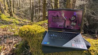 A laptop playing Slay the Spire 2 while perched on a mossy log in a wooded gorge.