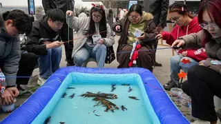 在北京一個安裝「龍蝦」的集市上，主辦方安排了釣小龍蝦的活動。