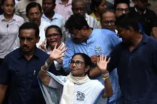 bengal