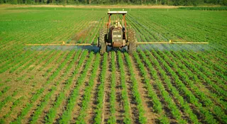 A farmer sprays pesticides on a field of soybeans in eastern Bolivia.