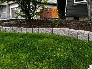 Image may contain: Backyard, Grass, Nature, Outdoors, Plant, Yard, Lawn, Indoors, Interior Design, Vegetation, and Garden