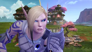 Alleria Windrunner is superimposed over a picture of WoW's latest housing bundle, squinting skeptically.