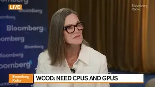 Ark Invest's Wood: SpaceX IPO 'Will Be Volatile'
