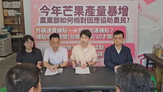 芒果結果率高預估產量增加 陳亭妃提延長外銷獎勵措施
