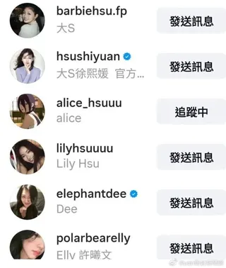 玥兒追蹤大S等人的社群帳號。（圖／ IG）