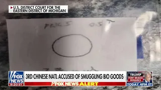 Third Chinese national accused of smuggling bio weapons in 'alarming' threat to US security