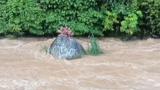 视频 | 山洪突袭受困河中央  8原住民男童全数获救