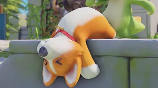 dead shiba