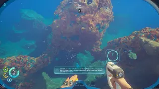 The coral dome above Wander's blackbox in Subnautica 2
