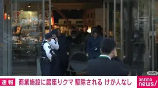 《ANN》報導，青森縣市區有成年黑熊出沒，嚇壞一群居民。（翻攝自X）