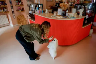 Shop assistant Hortense Jeannoutot feeds a dog pastrie to Loulou, a Pomeranian dog, at