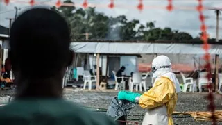 Congo reports new Ebola virus disease outbreak