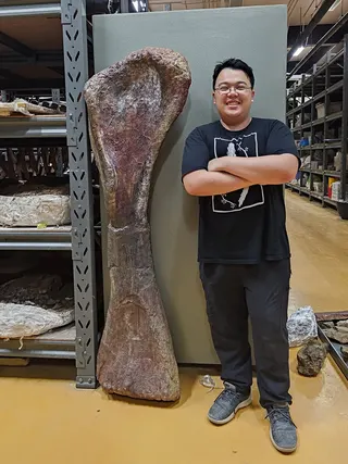 Researcher Thitiwoot Sethapanichsakul poses with a front leg bone of the Cretaceous Period sauropod dinosaur Nagatitan chaiyaphumensis at the Sirindhorn Museum in Thailand. Photo: Thitiwoot Sethapanichsakul/Reuters
