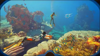 Multiple Pioneers can be seen exploring Subnautica's 2 starting biome.