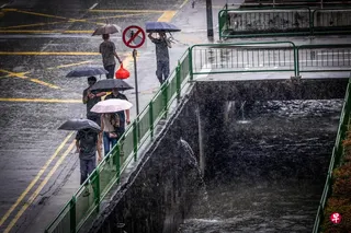 5月15日全岛多处下起大雨，包括图中的亚历山大路。 （叶振忠摄）