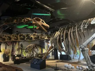 曼谷的泰龍博物館有這隻恐龍實際大小的重建模型正在展出。（圖取自facebook.com/ThainosaurMuseum）