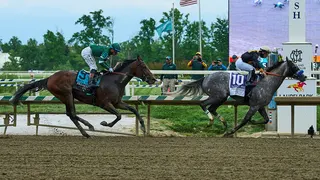Preakness finish