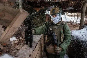 從戰地貓到救援蜜蜂…烏克蘭出動無人機 戰火中守護動物