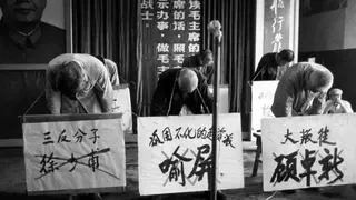 紅衛兵對「黑五類」抄家批鬥，手法殘忍；被批鬥的人被戴上高帽、頸掛寫上罪證的大字牌罰跪。