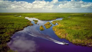 Francis Taylor Everglades Wildlife Management Area in Florida.