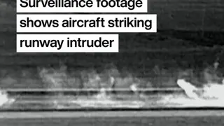 Denver airport: Surveillance footage shows moment aircraft fatally struck runway intruder