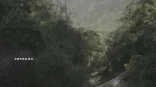 神木之島的影片素材，包含了許多台灣原始山林。（圖／李香秀導演提供）