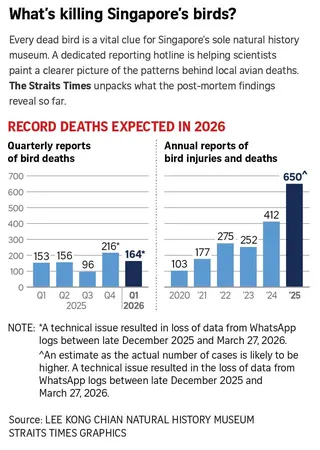 A chart showing what is killing bids in Singapore.