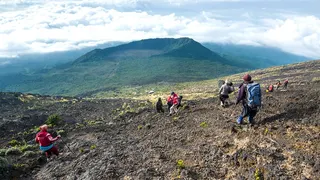 View of tourists in Congolese park