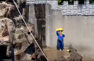 Images on social media showed a person scaling the fence in a costume that included a smiley face head with sunglasses, prompting the monkeys to scatter. — Screengrab from social media