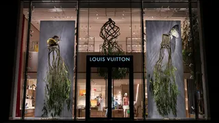 Two chairs grown from trees hang in the windows of a Louis Vuitton store in London in 2022. The chairs are lifted up with branches and leaves dangling from the legs of the chairs. In the middle of the store window is a chandelier also grown from a tree.