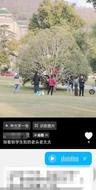 有遊客攀爬武大校園內的樹木。（取材自上游新聞）